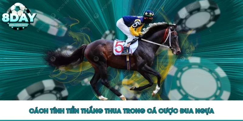 Cách tính tiền thắng thua trong cá cược đua ngựa