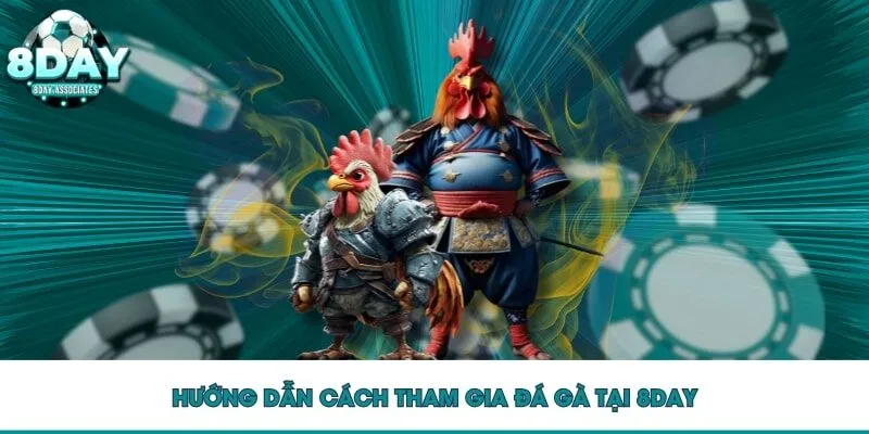 Hướng dẫn cách tham gia đá gà 8DAY Hướng dẫn cách tham gia đá gà 8DAY