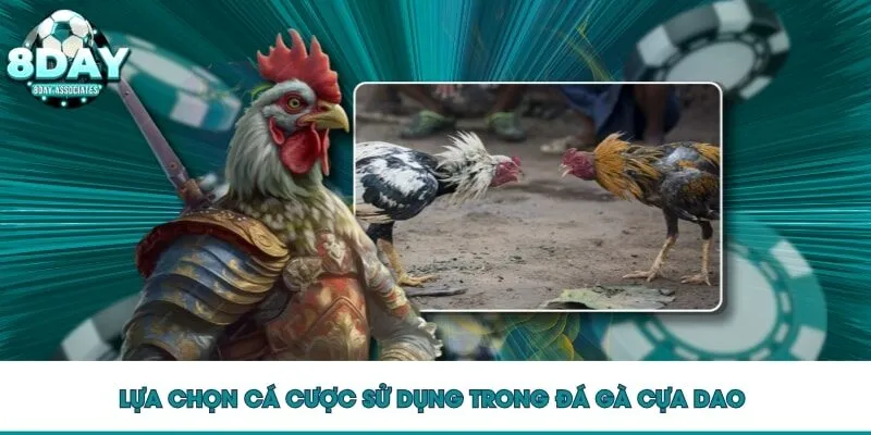 Lựa chọn cá cược sử dụng trong đá gà cựa dao 