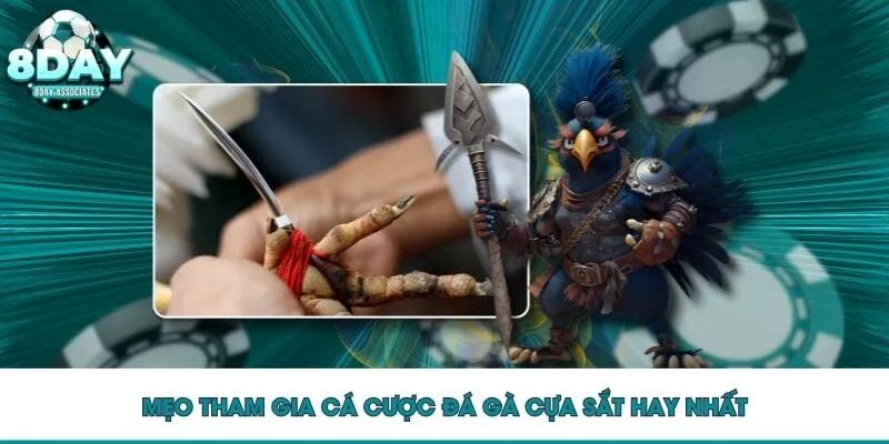 Mẹo tham gia cá cược đá gà cựa sắt hay nhất