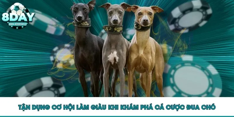 Tận dụng cơ hội làm giàu khi khám phá cá cược đua chó