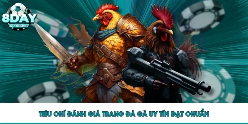 Tiêu chí đánh giá trang đá gà uy tín đạt chuẩn