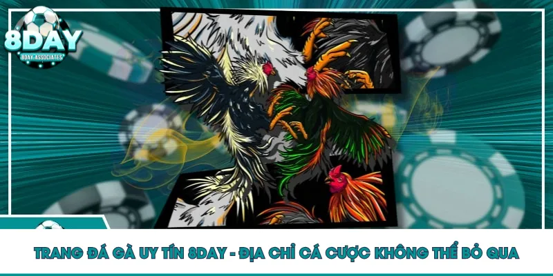 Trang đá gà uy tín