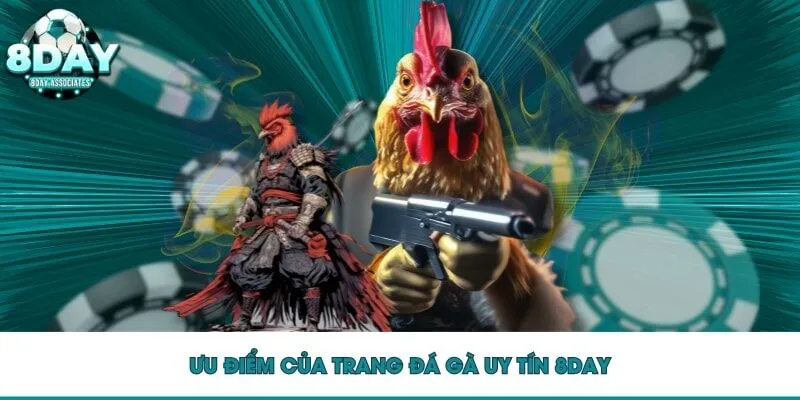 Ưu điểm của trang đá gà uy tín 8DAY